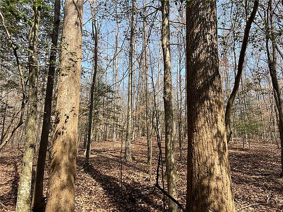 4th image of TRACT Cann Rd #B