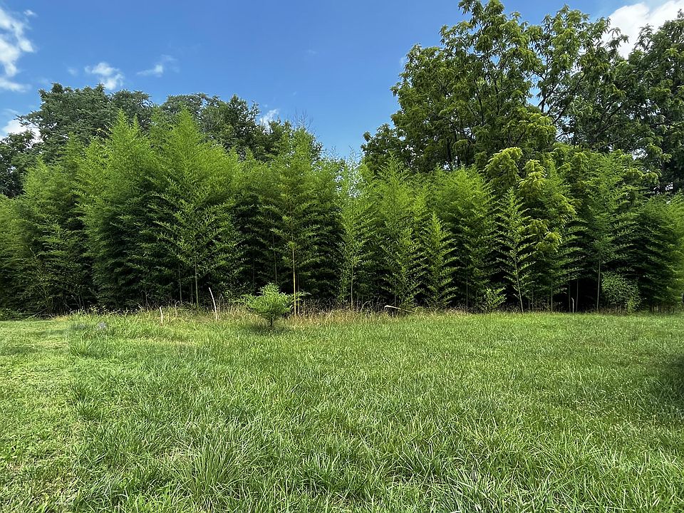2nd image of 605 Selene St Lot B
