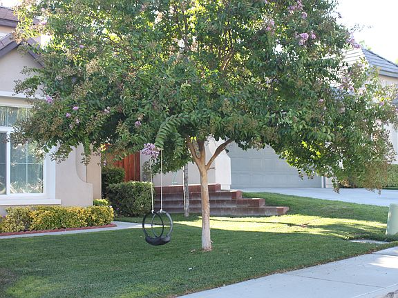 3rd image of 38945 Turtle Pond Ln