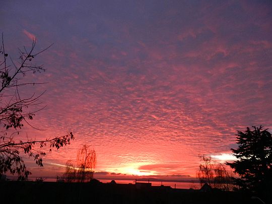 Ground level deck sunset