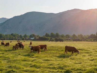 S Park Loop Rd, Jackson, WY, 83001