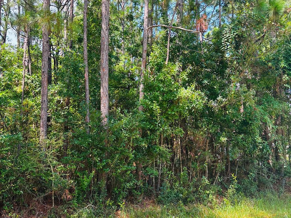 2nd image of Grouper Rd