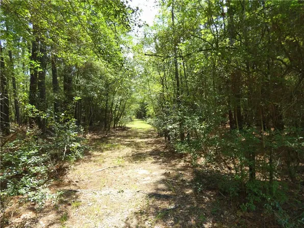 0 Bruhl Rd, Folsom, LA 70437