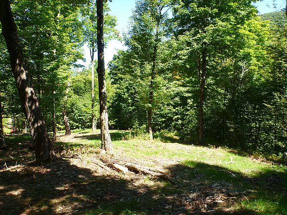 Lower lot building site