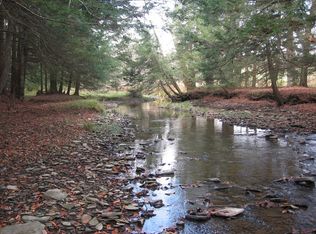 Briggs Rd, Lisle, NY 13797