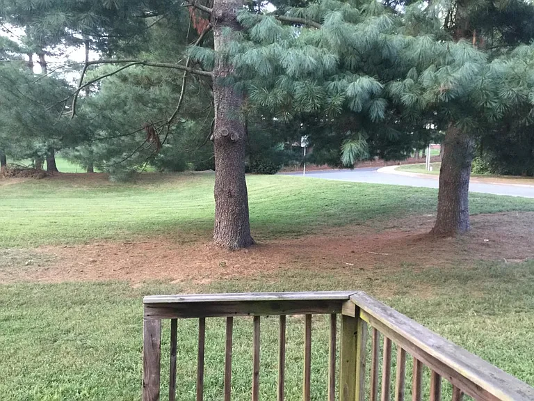 View from deck