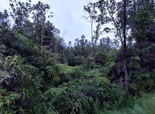 16-1671 Uhini Ana Rd #1-LOT 2528, Mountain View, HI 96771