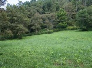 Heaton Creek Rd, Roan Mountain, TN 37687