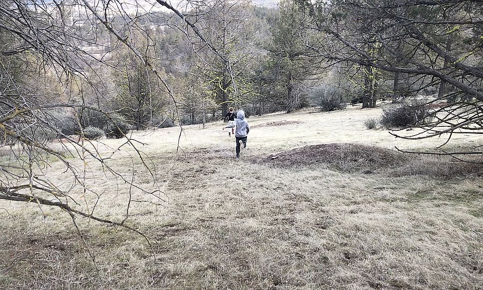 Potential homesite