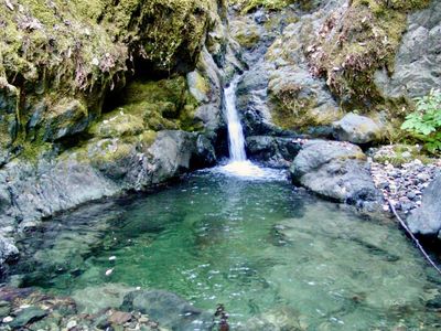 541 Middle Creek Rd, Hyampom, CA, 96046