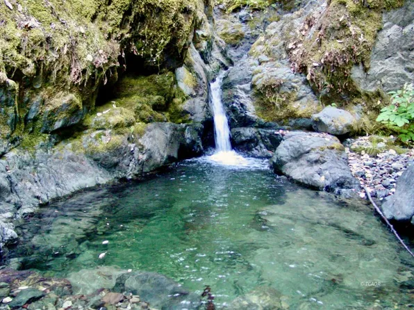 541 Middle Creek Rd, Hyampom, CA 96046