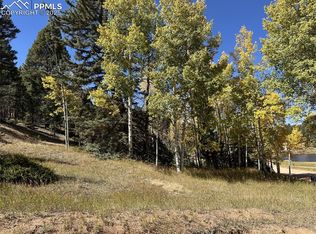 244 Spring Valley Ln, Florissant, CO 80816