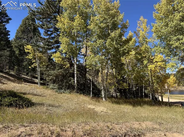244 Spring Valley Ln, Florissant, CO 80816
