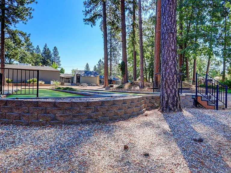 Forest Springs — Photo 14