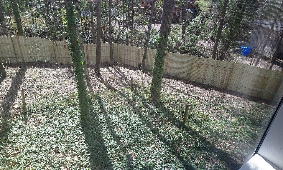 fenced back yard/ 2019