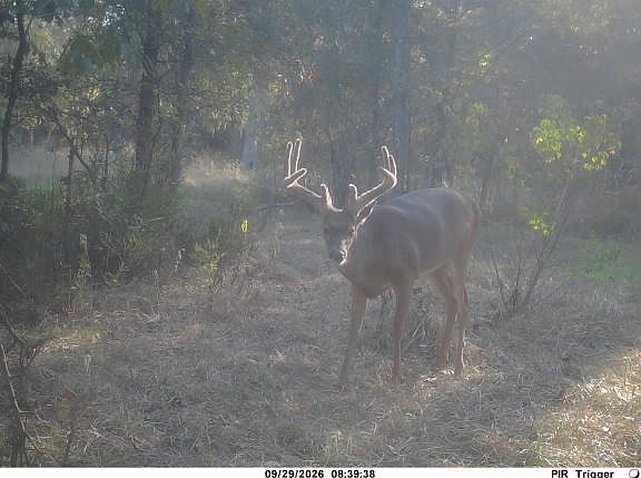 2nd image of New Zion Rd Lot Wp001