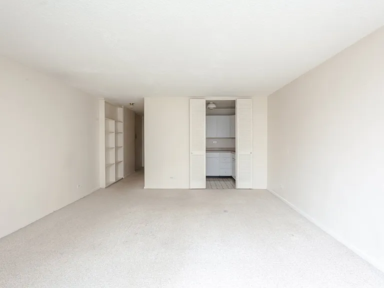 21 W Goethe St #6J — Photo 4
