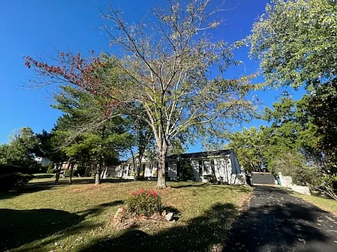 4 bed, 2.5 bath, 2500 sqft, $3,200 — Photo 2