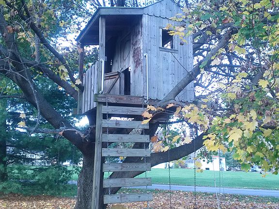 4th image of 11516 Dundee Dr