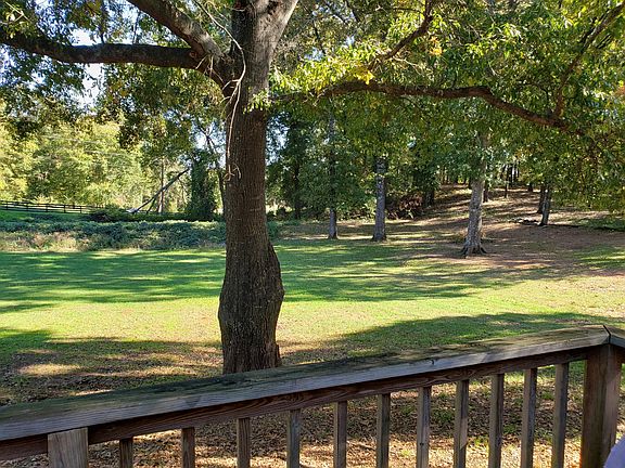 Back Yard from patio