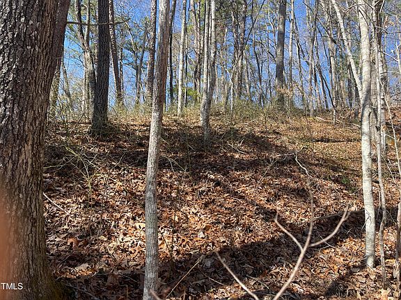 3rd image of 0 Bear Cove Rd Tract A