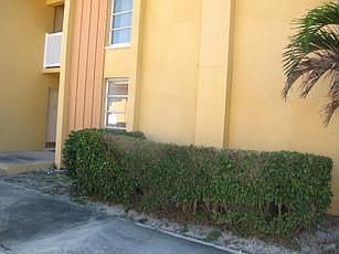 1st image of 250 N Banana River Dr APT C5