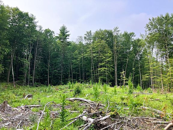 5th image of Lot 6 Fern Lake Road