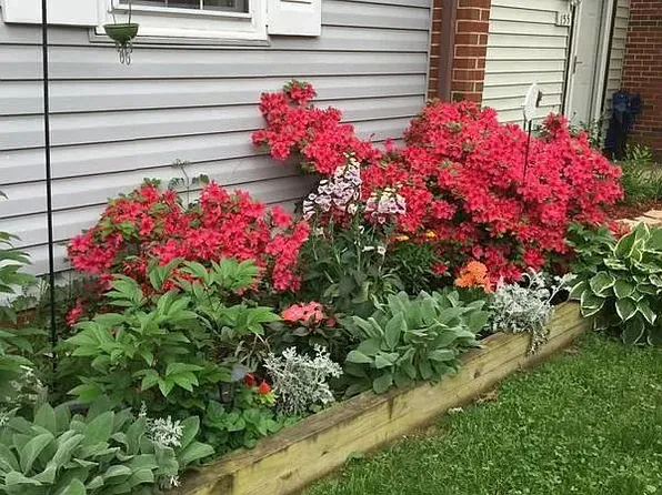 153 Marlow St SW, Leesburg, VA 20175