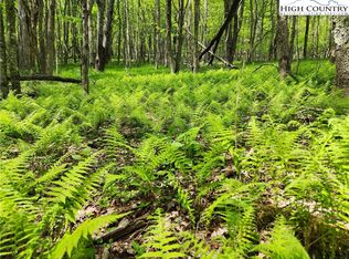 Brookwood Dr, Banner Elk, NC 28604