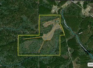 741 Beach Rd, Columbia, MS 39429