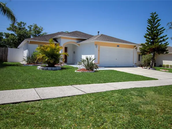 3201 Pine Top Dr, Valrico, FL 33594