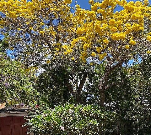 3rd image of 222 Waipahe Pl