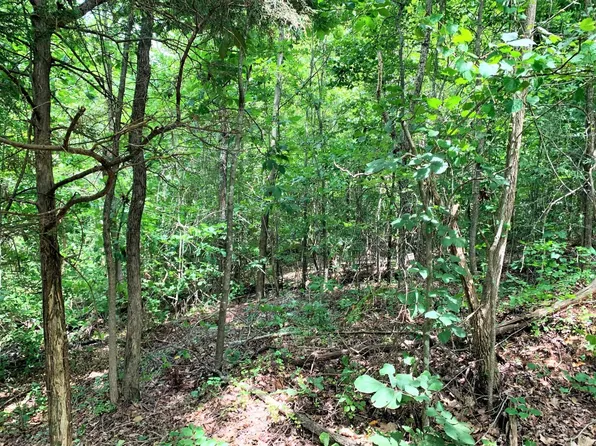 Leapwood Enville Rd, Adamsville, TN 38310