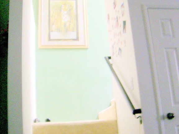 New Carpet Stairway