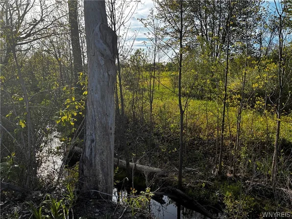 2330 Ridge Rd Lot 12, Lewiston, NY 14092