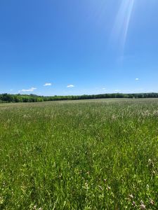 Nelson Rd, Delano, MN, 55328