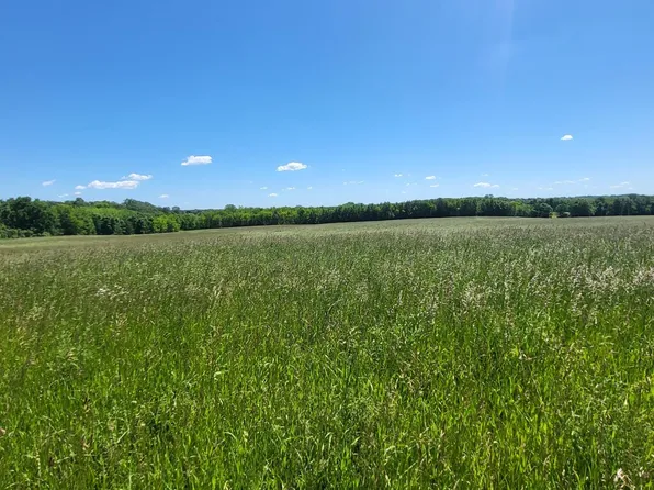 Nelson Rd, Delano, MN 55328