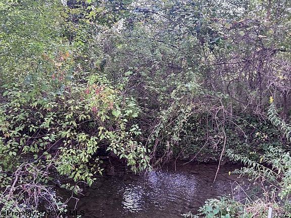 2nd image of Crystal Springs Rd