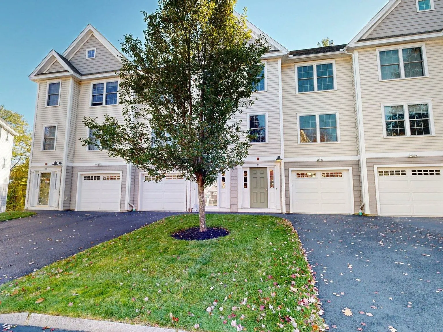 3 bed, 1.5 bath, 1500 sqft, $2,900 — Photo 2