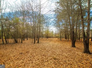 TRACT 1 Sandy Ford Rd, Social Circle, GA 30025