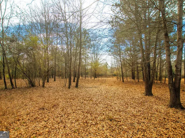 TRACT 1 Sandy Ford Rd, Social Circle, GA 30025