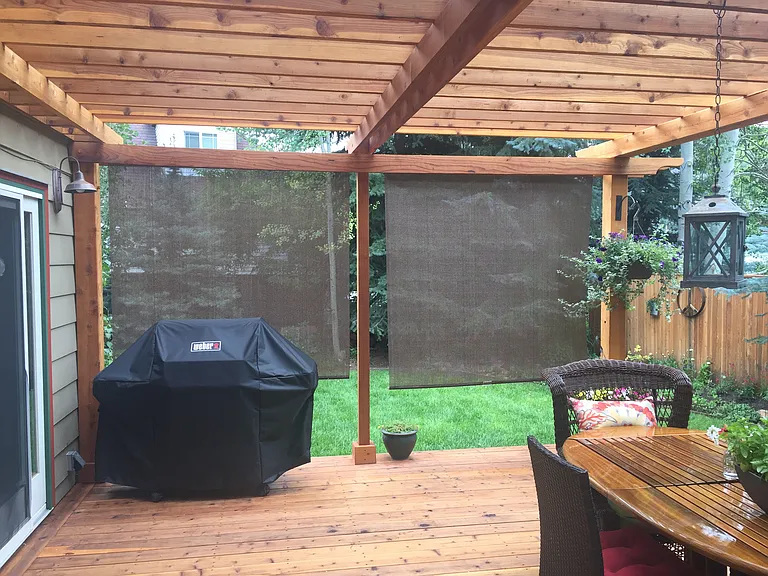 Large Deck and Gas Grill