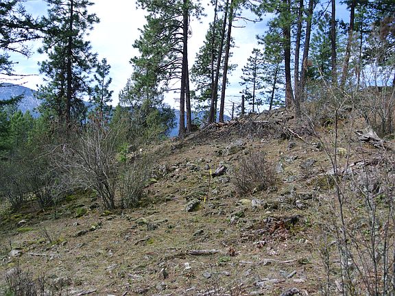 4th image of Nna Lakecity Lots 1.15 Acres