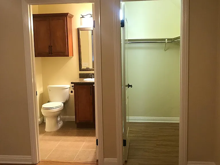 Walk-in closet and master bathroom