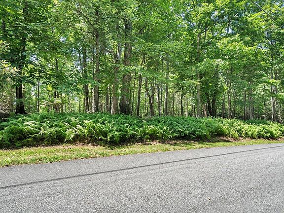 5th image of Dogwood Rdg Lot 30 & 31