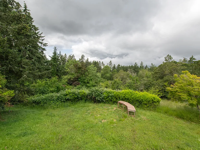 Upper Backyard