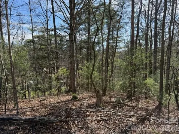 2 Frontier Ct, Asheville, NC 28805