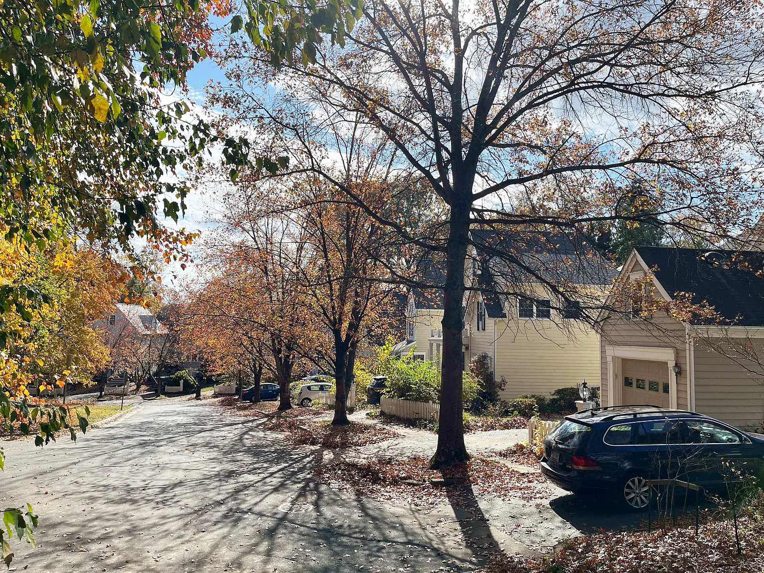 3 bed, 2.5 bath, 1834 sqft, $3,400 — Photo 2