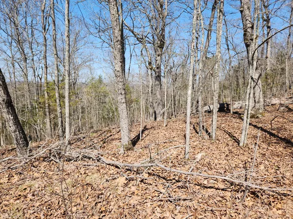 000 Powell Blvd Lot 10, Cedar Creek, MO 65627