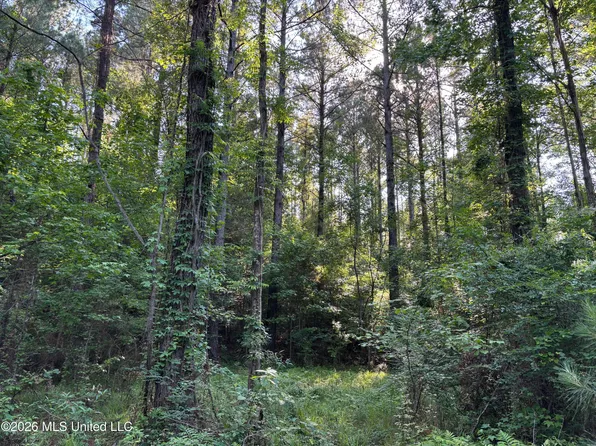 Beach Rd, Roxie, MS 39661